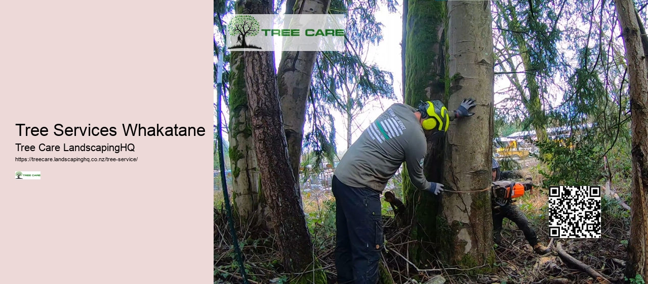 Tree Service Auckland