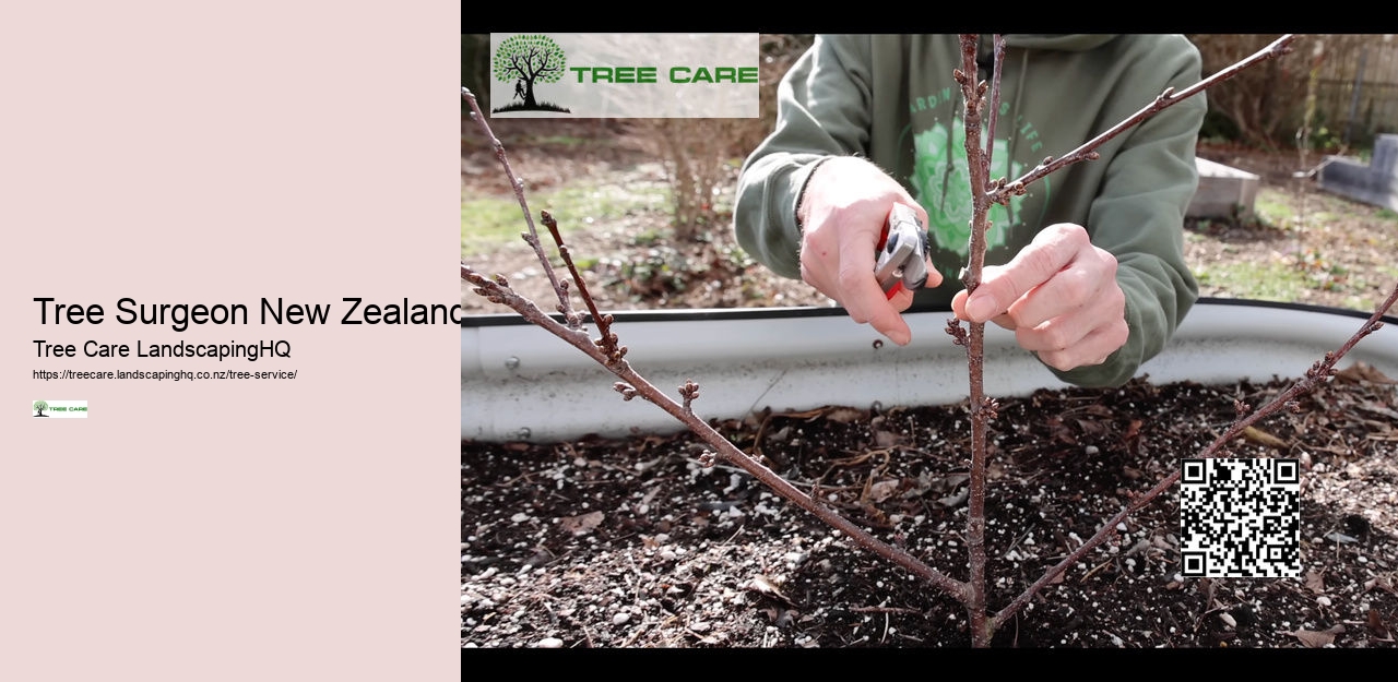 Tree Removal Dunedin