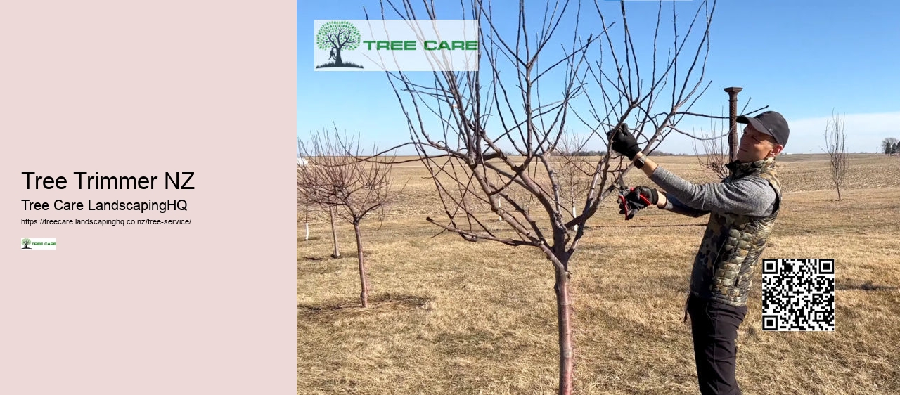 Tree Care NZ