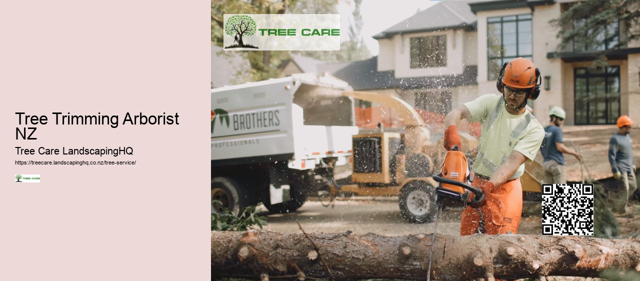 Tree Trimming Arborist NZ