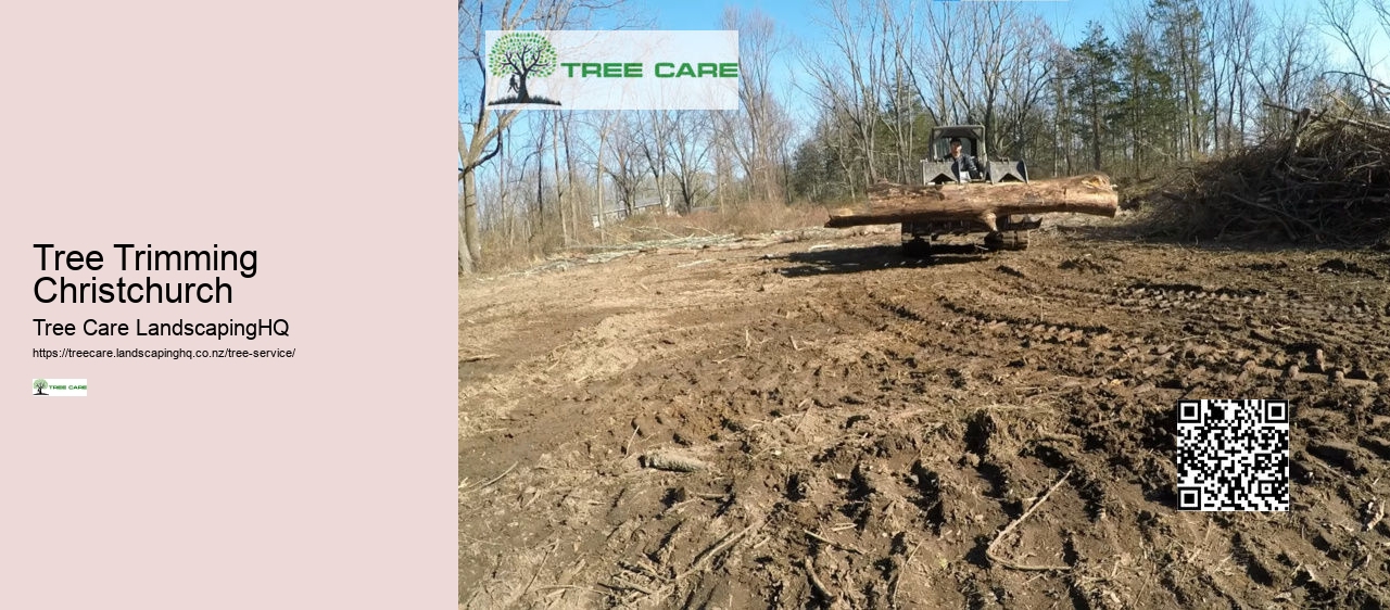 Stump Grinding Nelson NZ