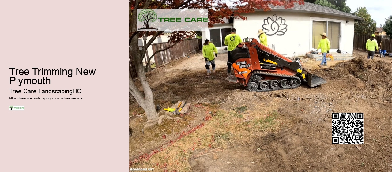 Tree Trimming New Plymouth