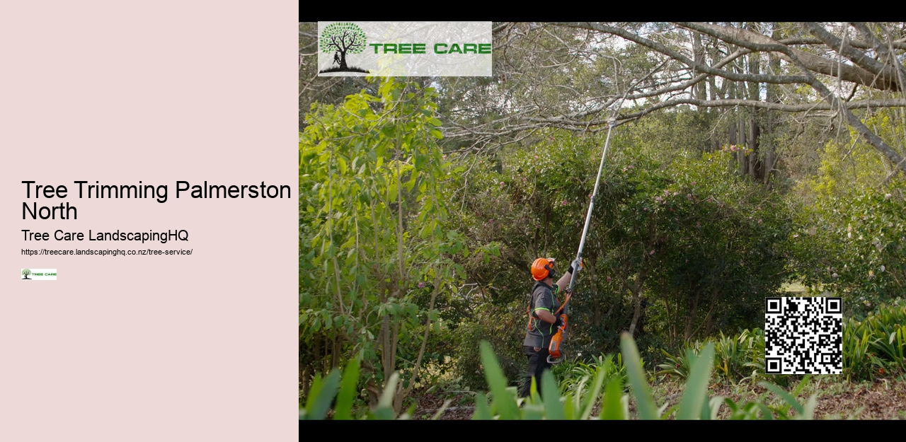 Arborists Nelson