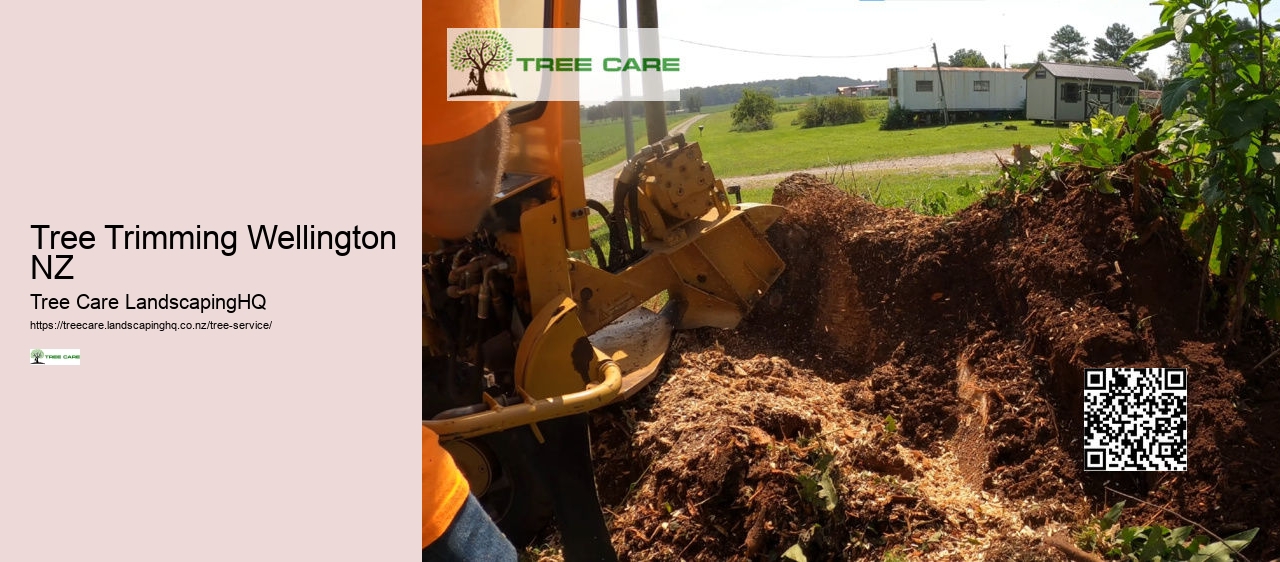 Tree Removal Auckland