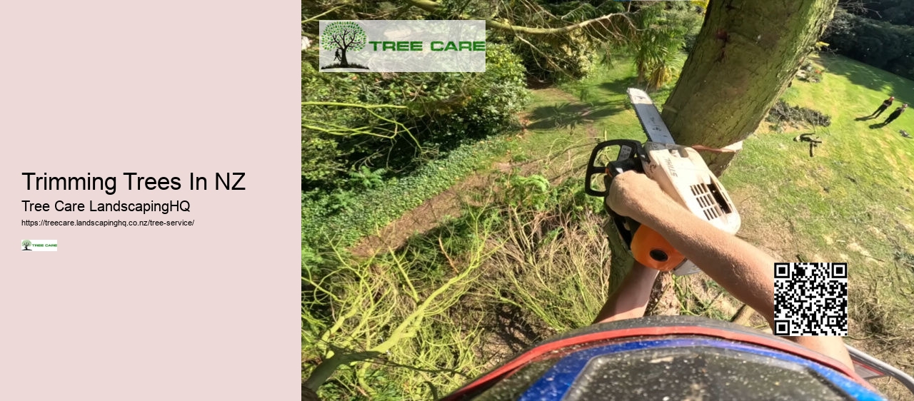 Tree Services Auckland