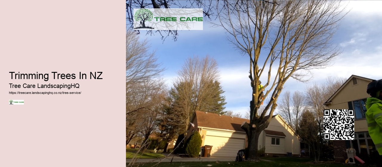 Trimming Trees In NZ