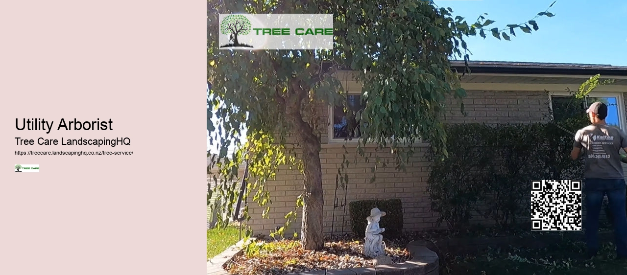 Tree Removal Napier