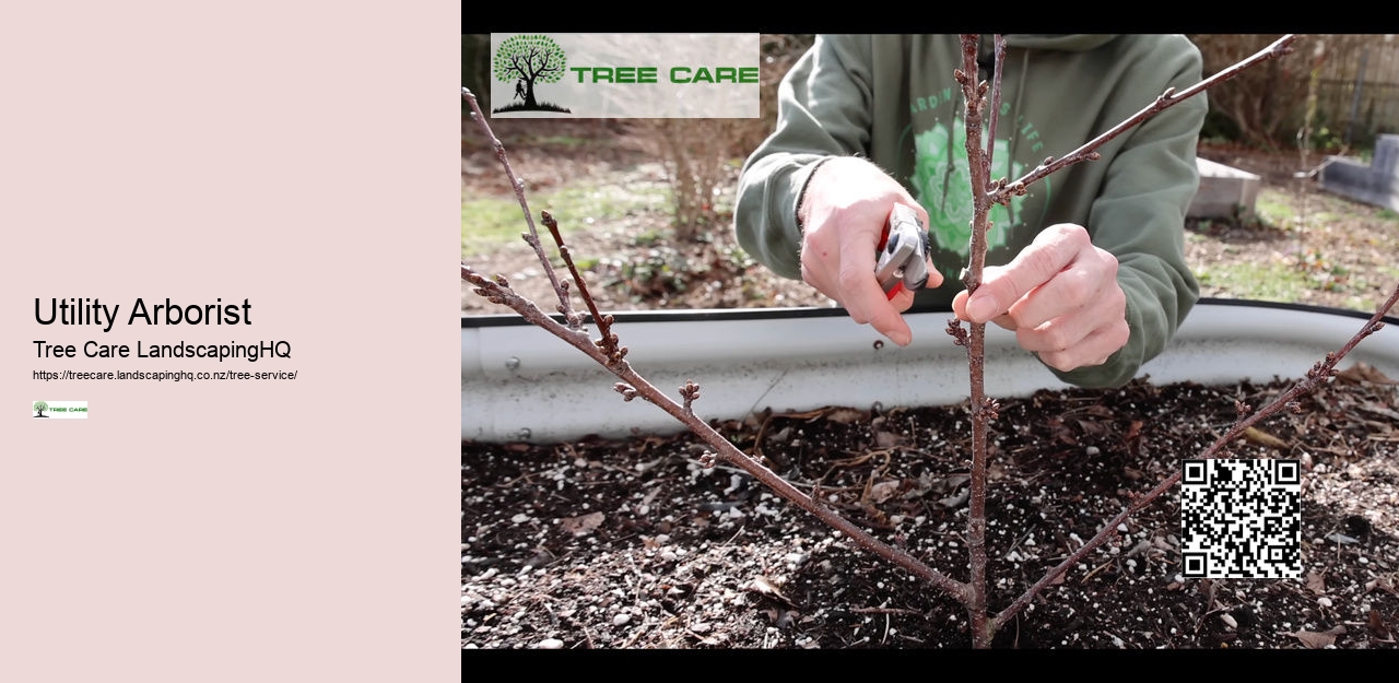 Arborist New Zealand